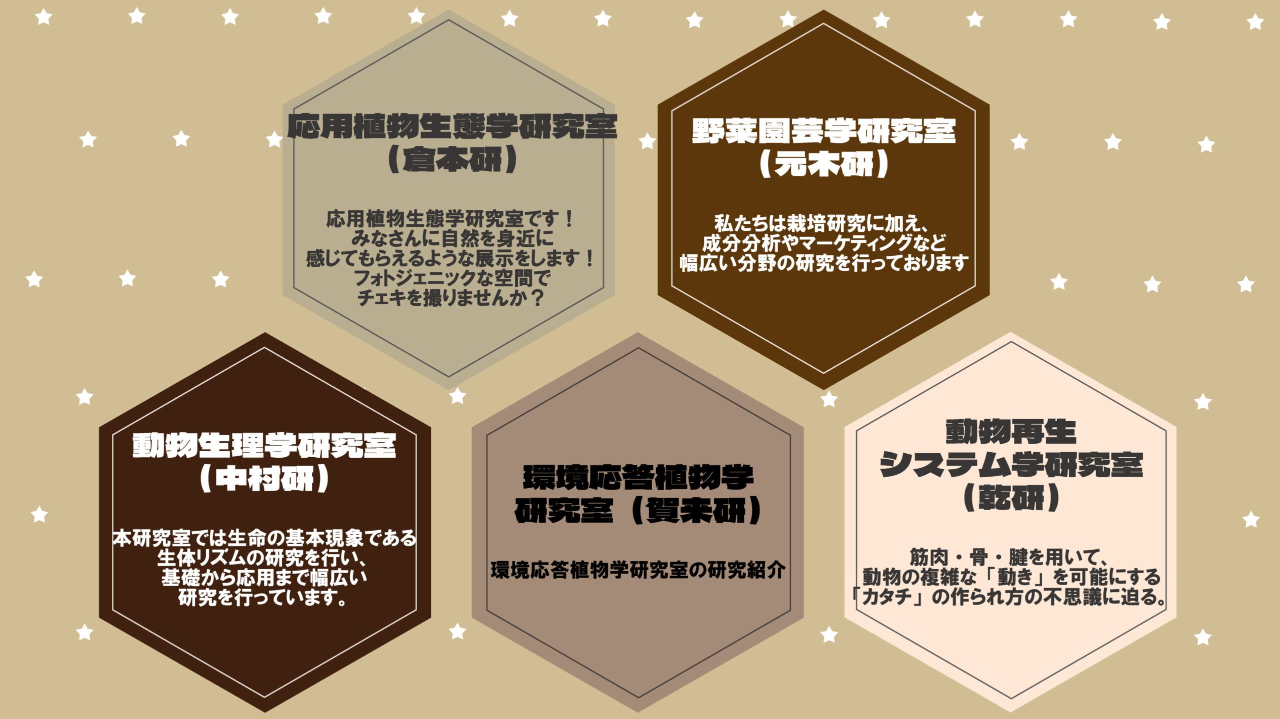 第24回生明祭